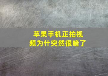 苹果手机正拍视频为什突然很暗了