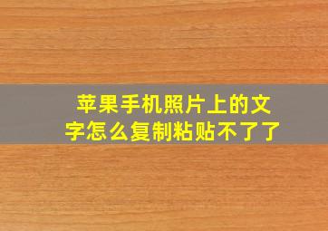 苹果手机照片上的文字怎么复制粘贴不了了