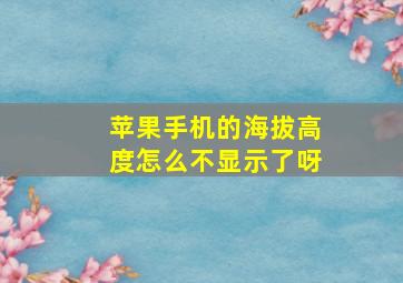 苹果手机的海拔高度怎么不显示了呀