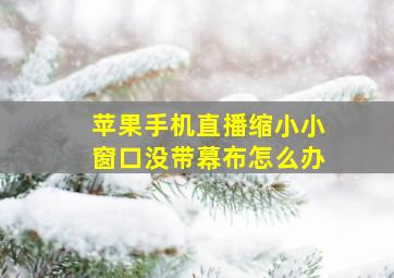 苹果手机直播缩小小窗口没带幕布怎么办