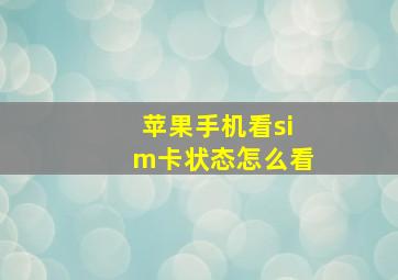 苹果手机看sim卡状态怎么看