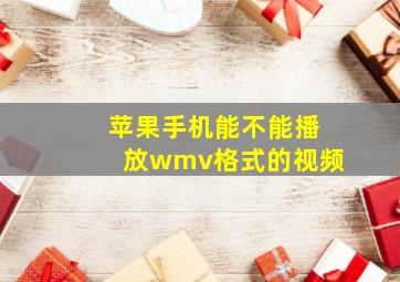 苹果手机能不能播放wmv格式的视频