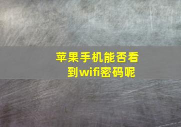 苹果手机能否看到wifi密码呢