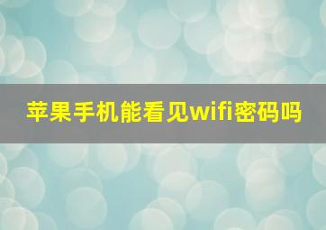 苹果手机能看见wifi密码吗