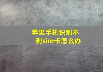 苹果手机识别不到sim卡怎么办