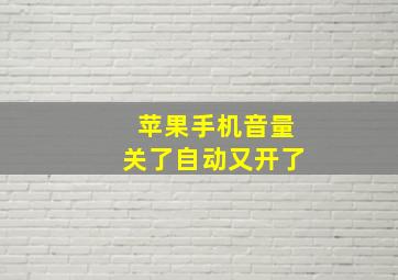 苹果手机音量关了自动又开了