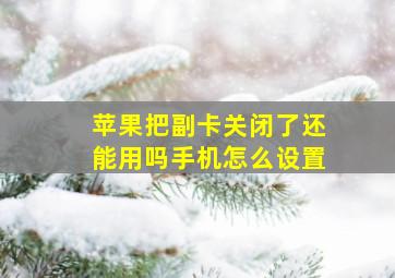 苹果把副卡关闭了还能用吗手机怎么设置