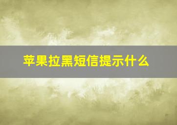 苹果拉黑短信提示什么