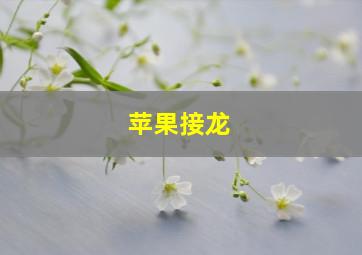 苹果接龙