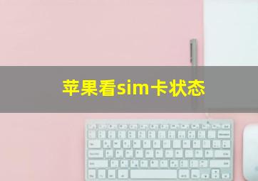 苹果看sim卡状态