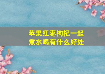 苹果红枣枸杞一起煮水喝有什么好处