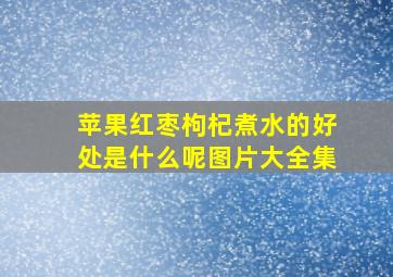 苹果红枣枸杞煮水的好处是什么呢图片大全集