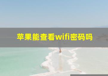 苹果能查看wifi密码吗