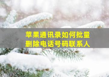 苹果通讯录如何批量删除电话号码联系人