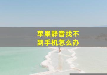 苹果静音找不到手机怎么办