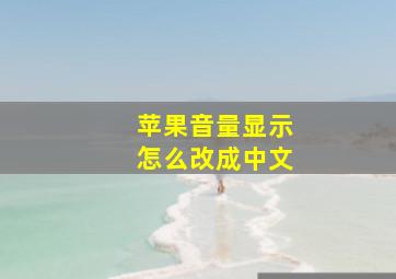 苹果音量显示怎么改成中文