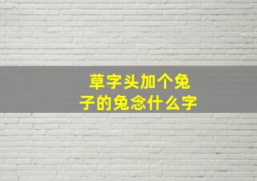 草字头加个兔子的兔念什么字