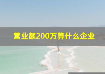 营业额200万算什么企业