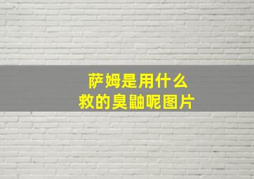 萨姆是用什么救的臭鼬呢图片