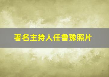 著名主持人任鲁豫照片