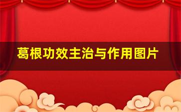 葛根功效主治与作用图片