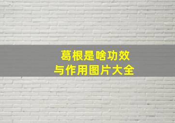 葛根是啥功效与作用图片大全