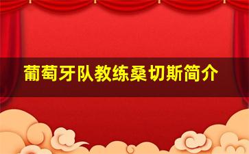 葡萄牙队教练桑切斯简介