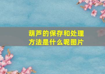 葫芦的保存和处理方法是什么呢图片