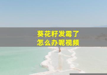 葵花籽发霉了怎么办呢视频