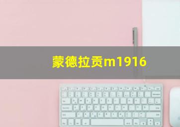 蒙德拉贡m1916