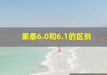 蒙泰6.0和6.1的区别