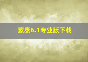 蒙泰6.1专业版下载