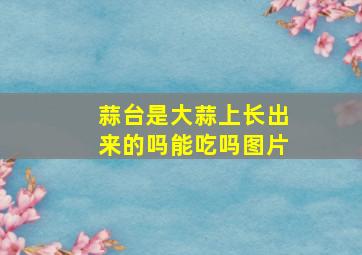 蒜台是大蒜上长出来的吗能吃吗图片