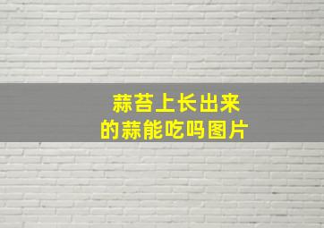 蒜苔上长出来的蒜能吃吗图片