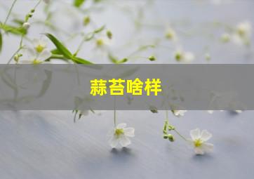 蒜苔啥样