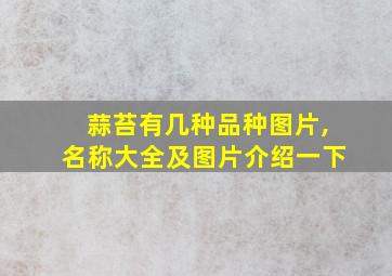 蒜苔有几种品种图片,名称大全及图片介绍一下