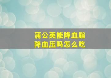 蒲公英能降血脂降血压吗怎么吃