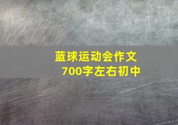 蓝球运动会作文700字左右初中