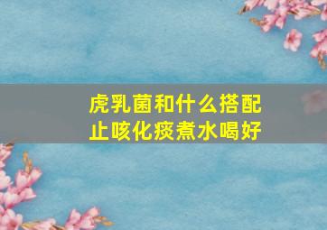 虎乳菌和什么搭配止咳化痰煮水喝好