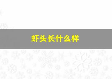 虾头长什么样