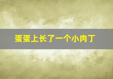 蛋蛋上长了一个小肉丁