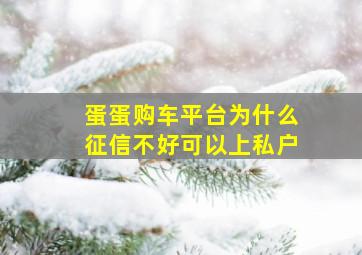 蛋蛋购车平台为什么征信不好可以上私户