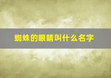 蜘蛛的眼睛叫什么名字