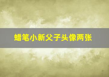 蜡笔小新父子头像两张