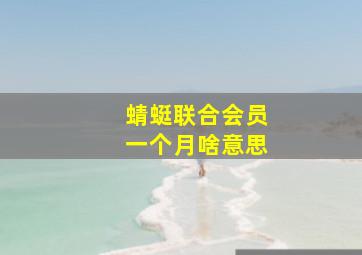 蜻蜓联合会员一个月啥意思