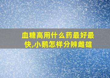 血糖高用什么药最好最快,小鹅怎样分辨雌雄