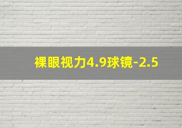 裸眼视力4.9球镜-2.5