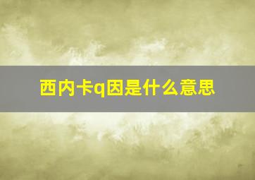 西内卡q因是什么意思