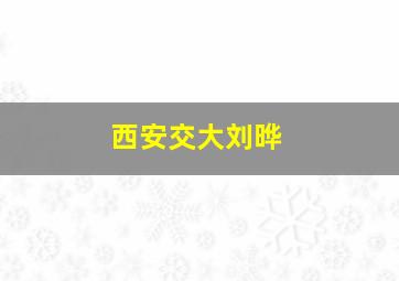 西安交大刘晔