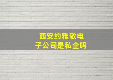 西安约雅敬电子公司是私企吗